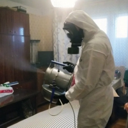 Дезинфекция от клопов в Нытве