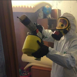 Уничтожение клопов в квартире. Нытва